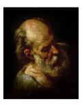 Portrait of an Old Man