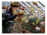 Chrysanthemums  1890