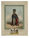 The Hero of the Nile  1878