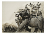 The Battle of Zama in 202 Bc
