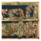 Harvesting  Rhine School