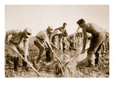 The Labour Service at Work