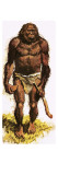 Pre-Historic Man