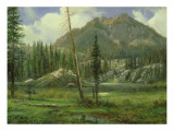 Sierra Nevada Mountains