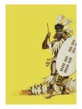Zulu Warriors