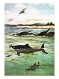 Pre-Historic Sea Creatures