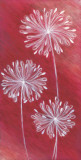 Fireworks I