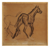 Horses  C1882