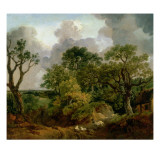 Wooded Landscape