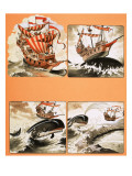 Captain Duck's Treasure