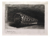 The Shell