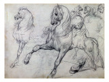 Horses