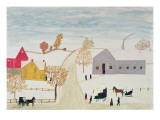 Amish Village