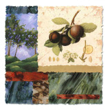My Orchard