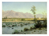 Prairie Landscape