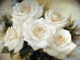 White Roses III