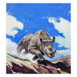 Rhinoceros  1962