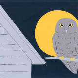Baby Owl II