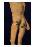 Adam  1528