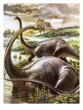 Diplodocus