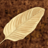 Tropical Leaves II