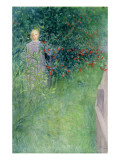 In the Holly Hedge