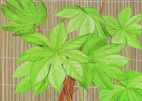 Tropical Leaves I