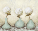 Hydrangea II