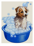 Dog Being Washed