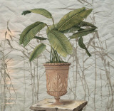 Potted Trees