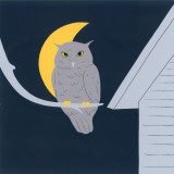 Baby Owl I