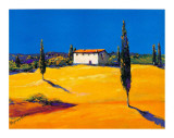 Summer in Provence I