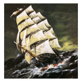 Tea Clipper