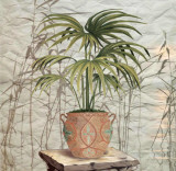 Potted Trees