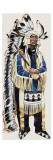 Indian Chief