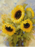 Sunflowers Dream