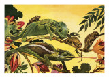 Chameleon