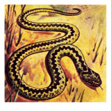 Adder