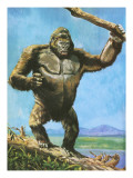 Gorilla