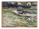 The Brook
