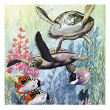 Undersea World