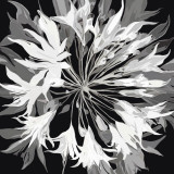 Radiance II