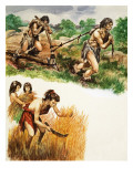 Stone Age Farming