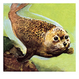 The Common Seal