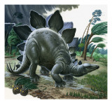 Stegosaurus