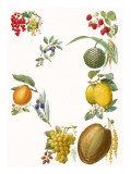Fruits