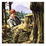 Lumberjack