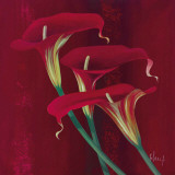 Sensual Beauty I