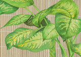 Tropical Leaves I