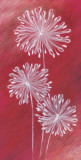 Fireworks II